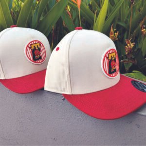 COLLECION 2025 TORITOS