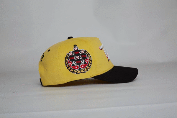 GORRA CAMPEONATO TORITOS 2022