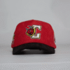 GORRA CAMPEONATO TORITOS 2018