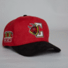 GORRA CAMPEONATO TORITOS 2018