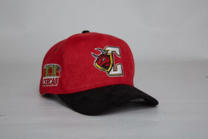 GORRA CAMPEONATO TORITOS 2018
